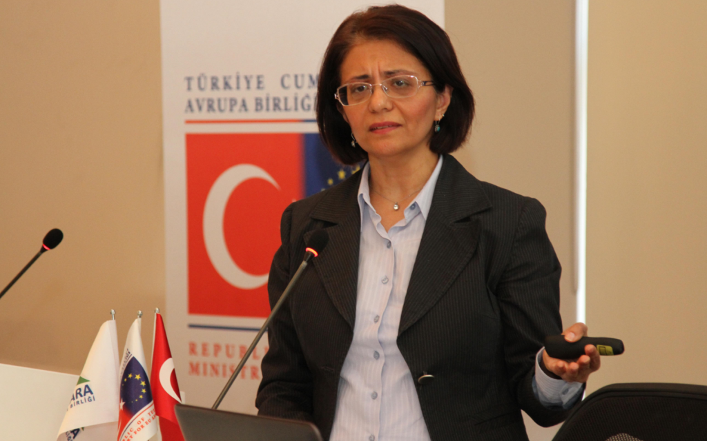 Nilüfer Representative Esra Özkul at Horizon 2020 Seminar in January the 30th