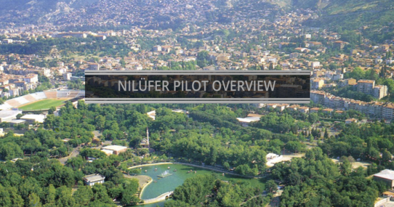 Nilüfer Replicate Pilot 2017